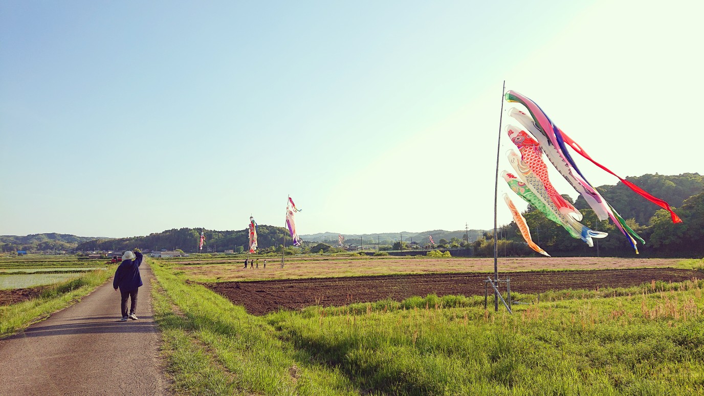 地域・里山再生